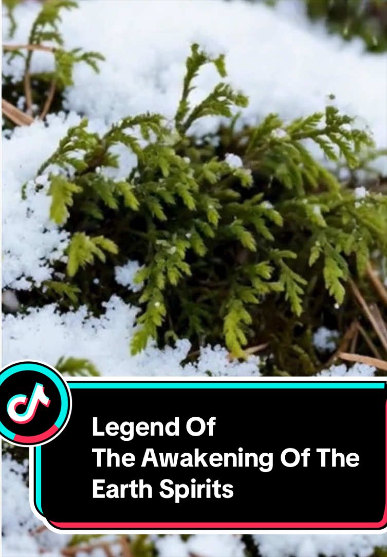 @legendleaker