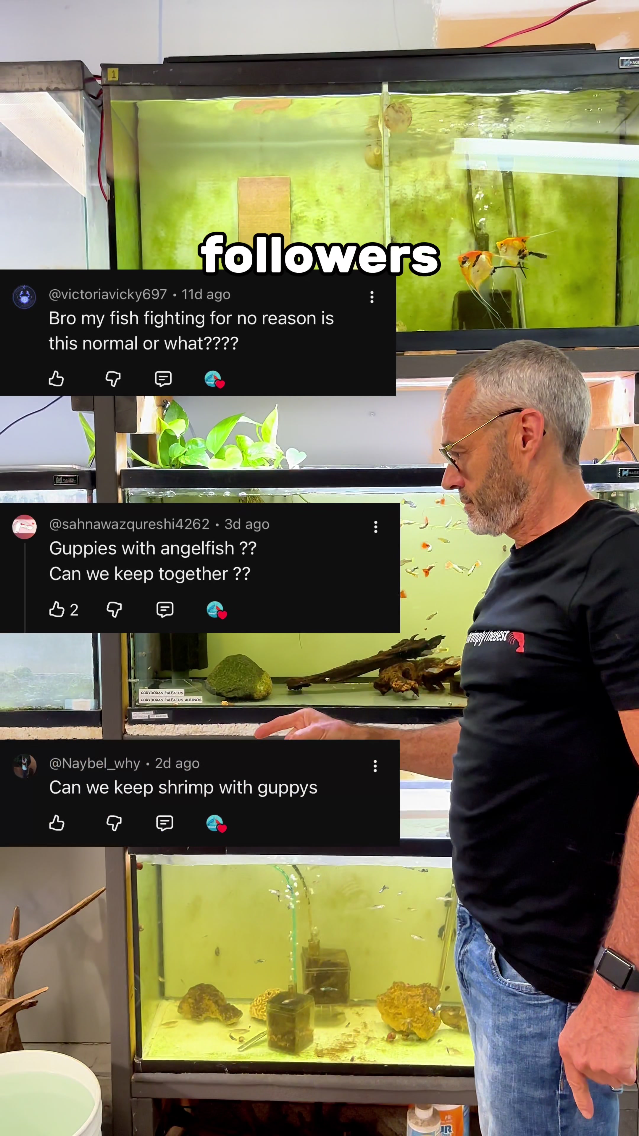 @ShrimplyTheBest