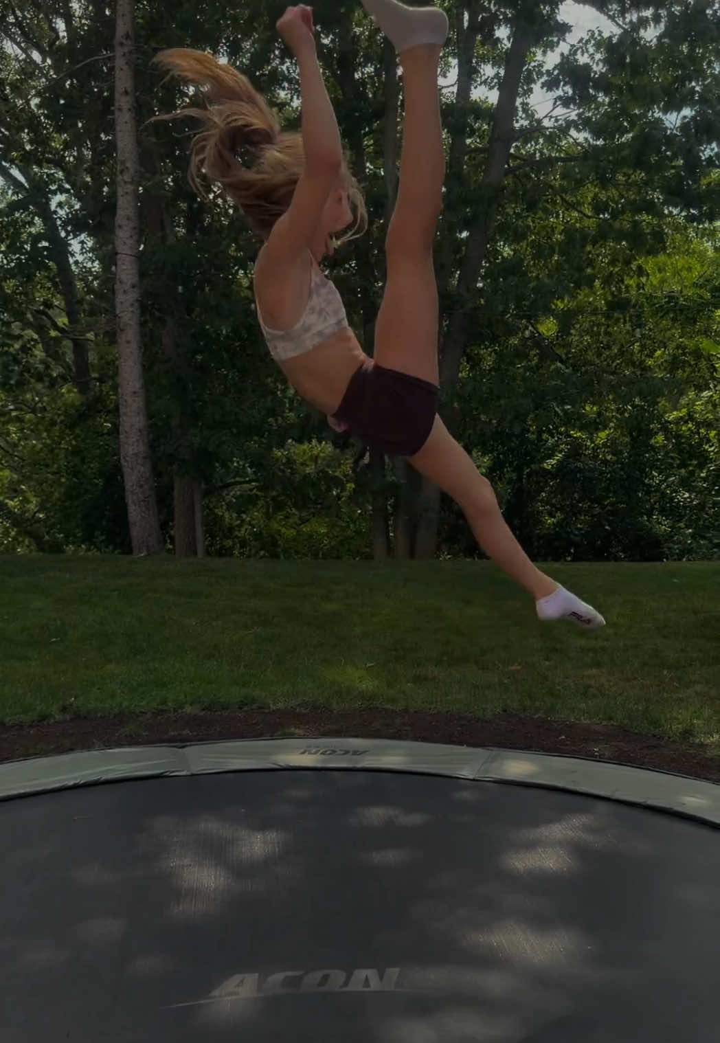 @Cali 🦈