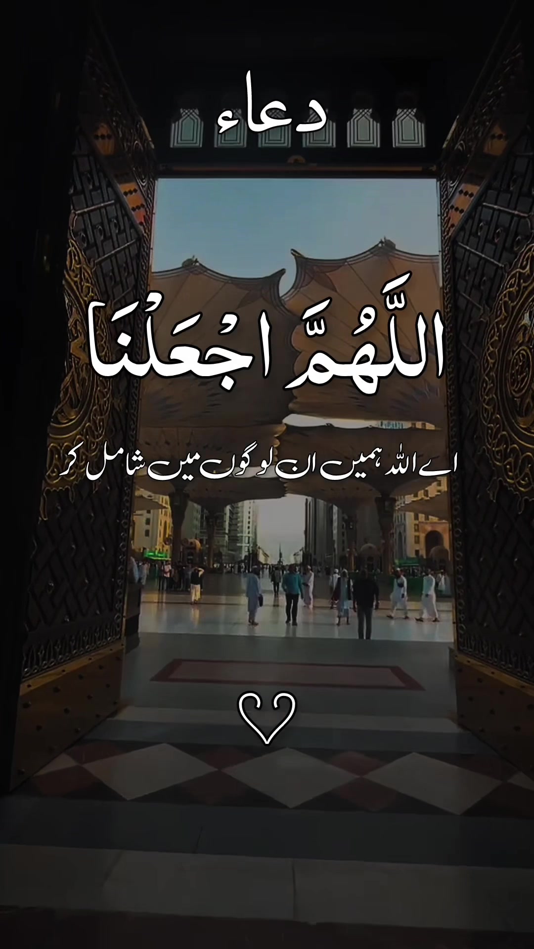 @❣️ Words of Allah ❣️