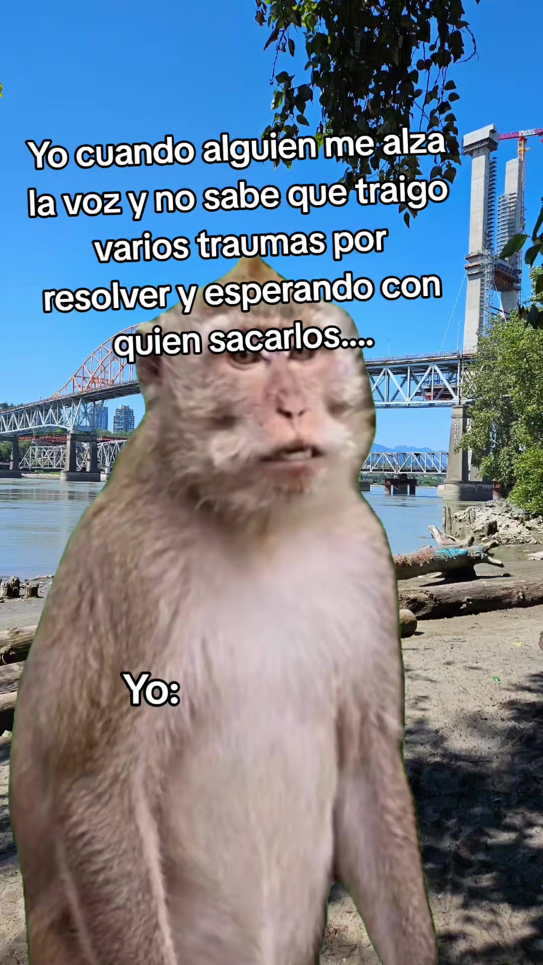 @kary Saida