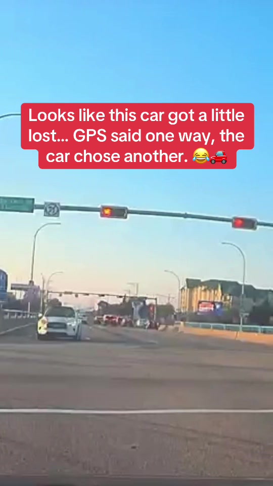 @Bad Driver Edmonton