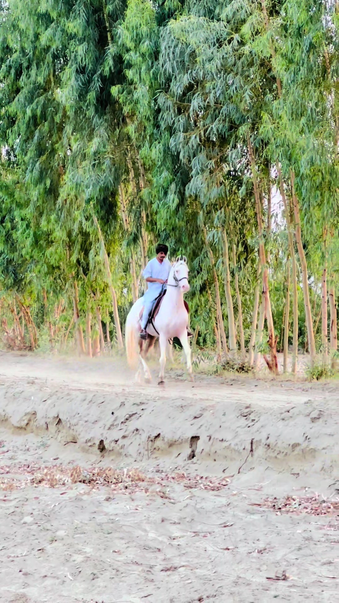 @☀️SUNRISE 🐎FARMS Rawalpindi