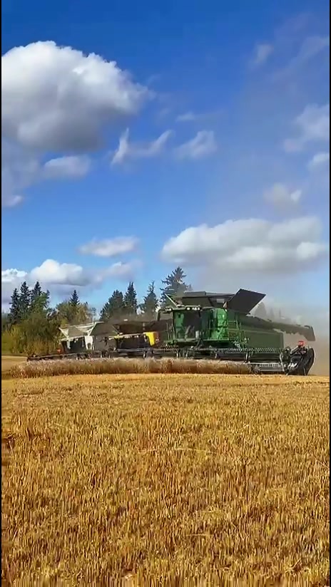 @That Female Farmer 🚜🌾