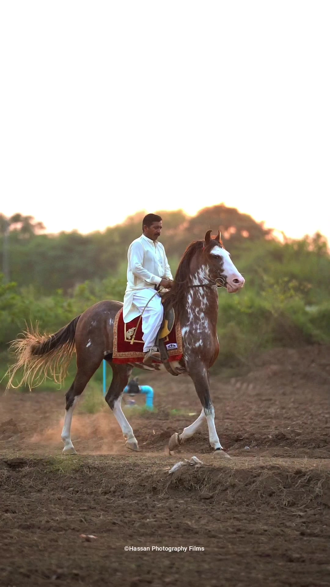 @SUNRISE STUD FARMS RAWALPINDI