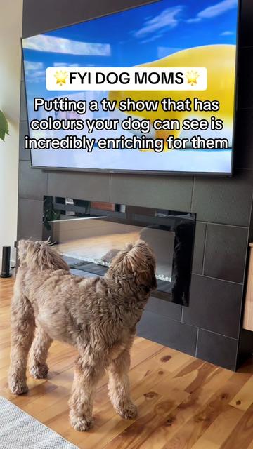 @Dogs Made Simple