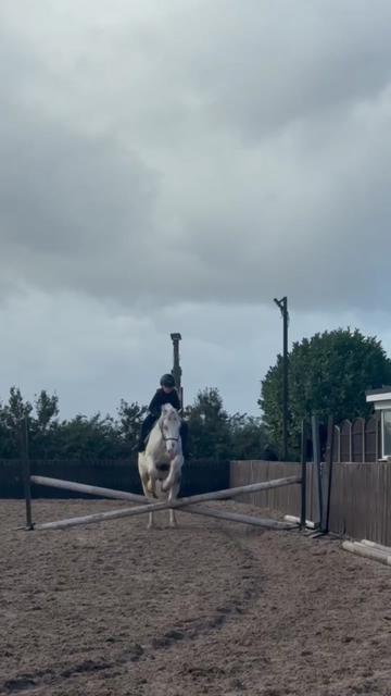 @LottiesHorseAdventures🦄🐴