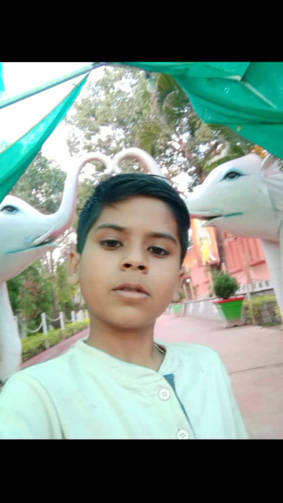 @veer ips
