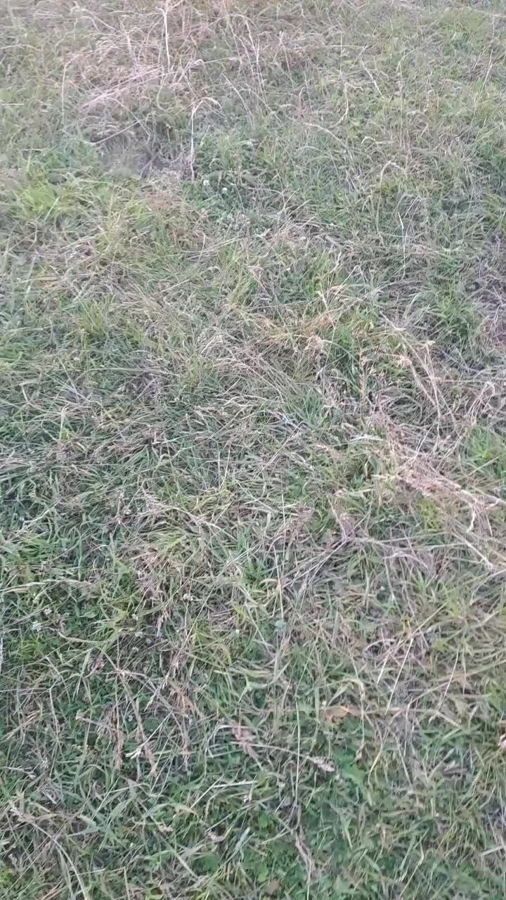 @Egopkapozitiv