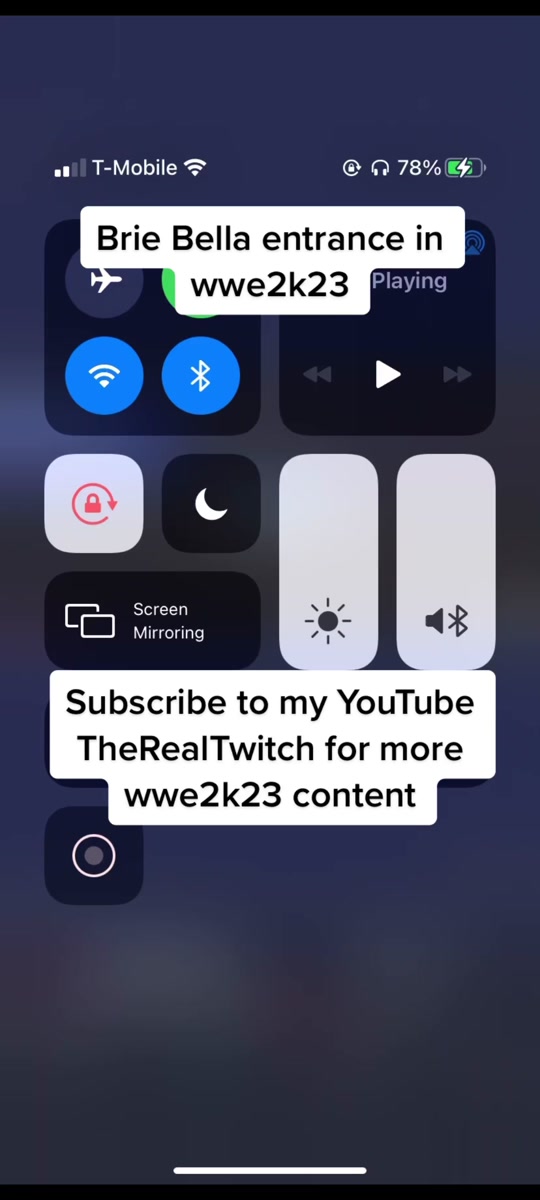 @TheRealTwitch
