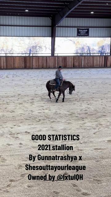@Larson Performance Horses