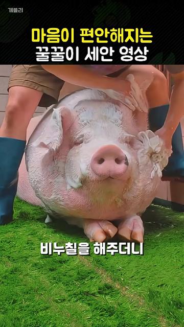@개블리