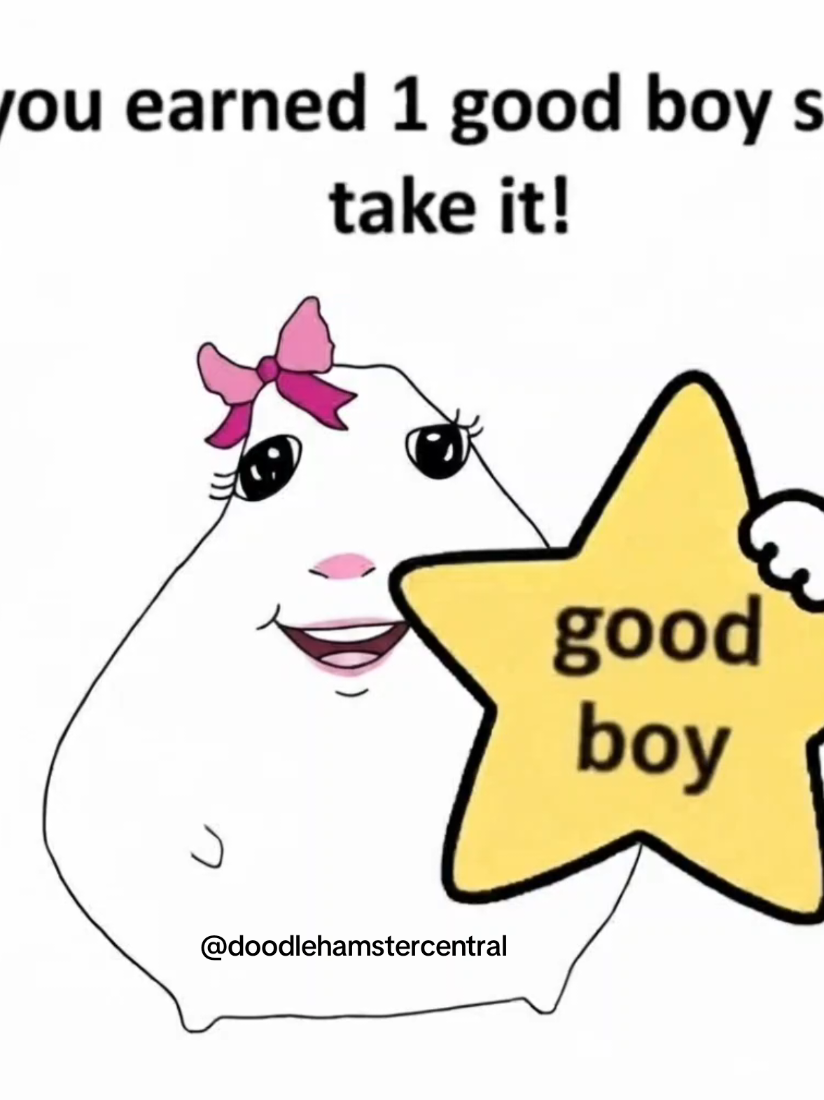 @doodlehamster