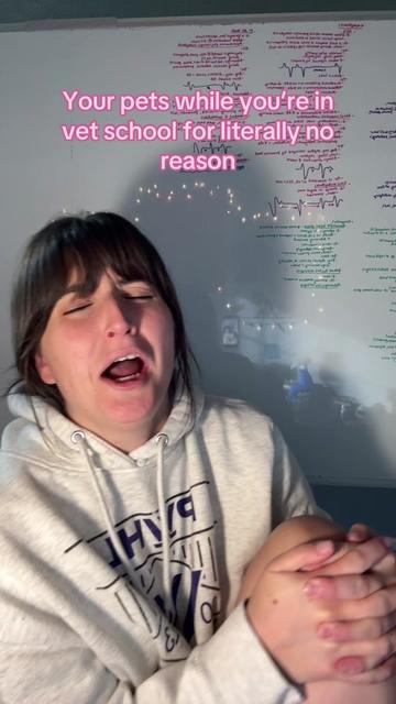@futuredoctormegdvm