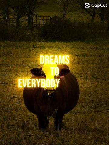 @Massey Land & Cattle