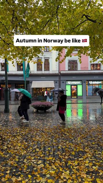 @colorsofnorway