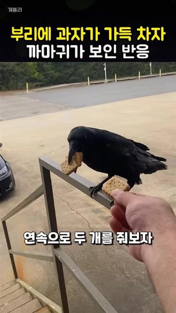 @개블리