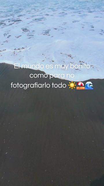 @🪷🍀&bull;~𝑆𝑢𝑠𝑦~&bull;🍀🪷
