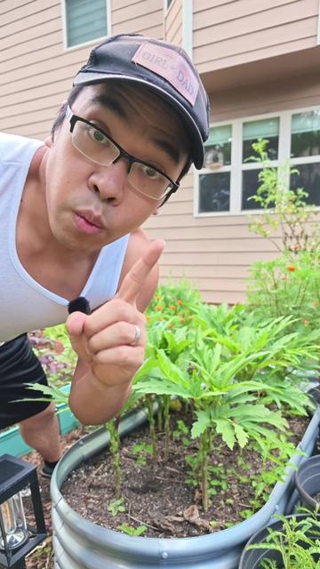 @Buff Gardener