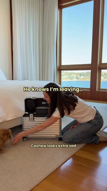 @cashewdachshund