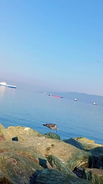 @🕊️_Egana_Demir_🕊️