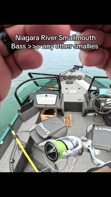 @BRVDDY BASSIN