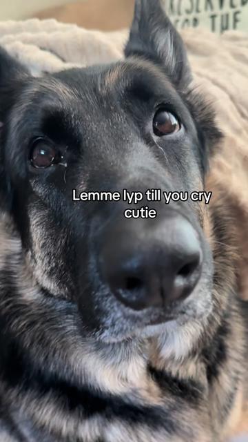 @Bhris