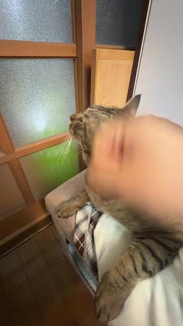 @みゆ