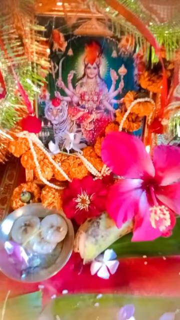@renu_sharma1174