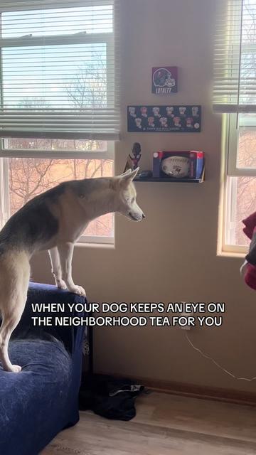 @Jeff
