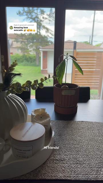 @Niki - Ava’s Mom 🥑🌱