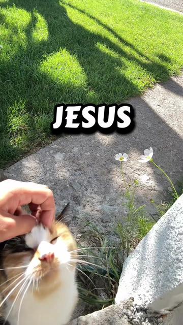 @ay_fanny✝️🩺🫀