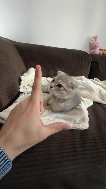 @Suki