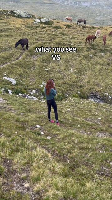 @Lorea ☾ Equine Imagery