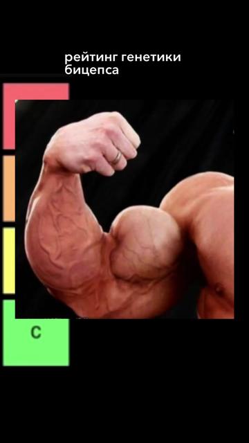 @5x5sport