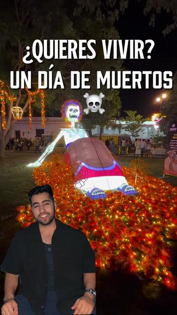 @niveckbritto
