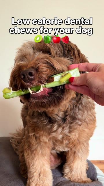 @Dogs Made Simple