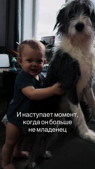 @PishuNova