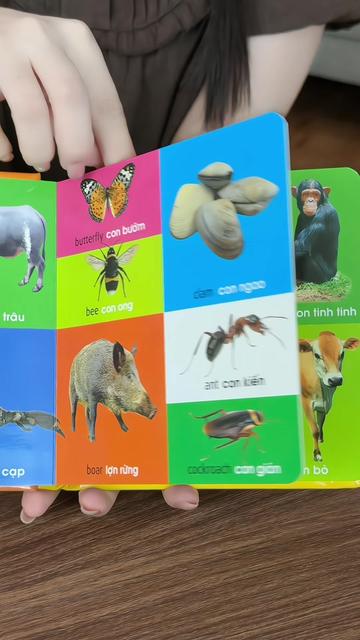 @Mẹ Lan Hương 2 B&eacute;