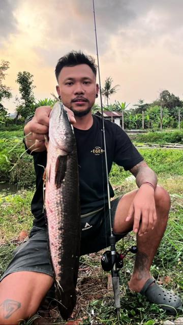 @ABI LURE