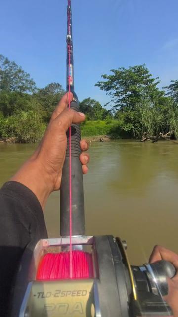 @wan caster™