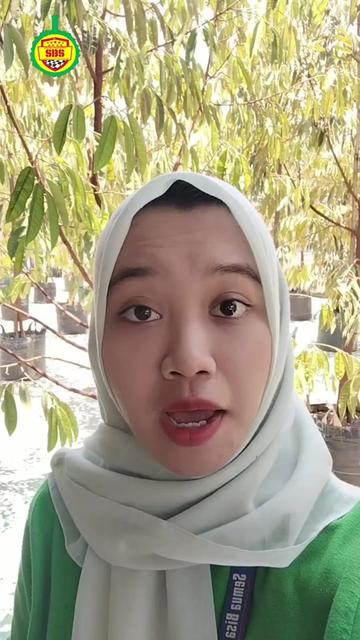 @Produksi Buah_SBS