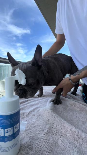 @MAKE A FRIEND PAWS ๐พ