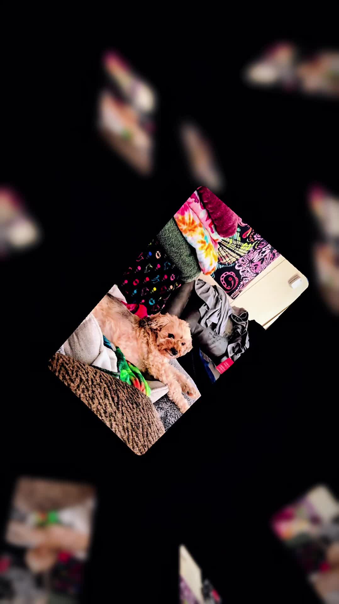 @Kandiibliiss12♥️