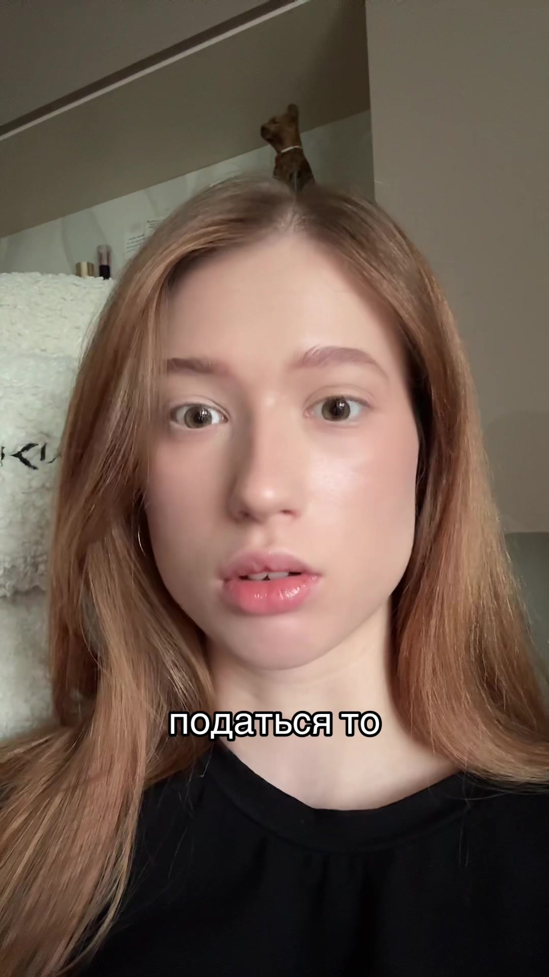 @ARISHEL