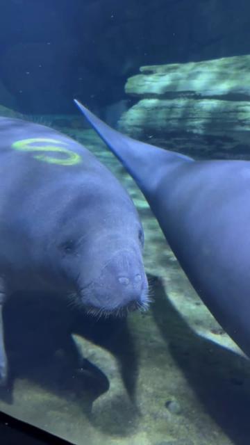 @Cincinnati Zoo