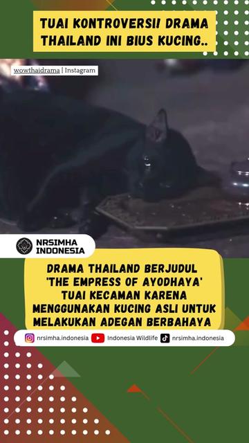 @NARASIMHA