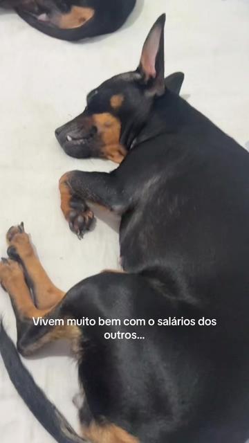 @Mathusa Reis 🍃