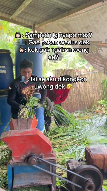 @DhanniaFarm