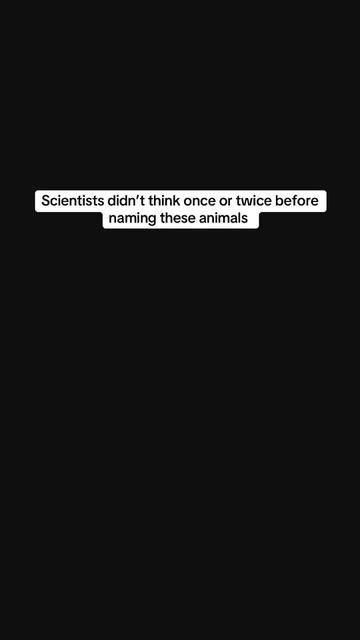 @⃟